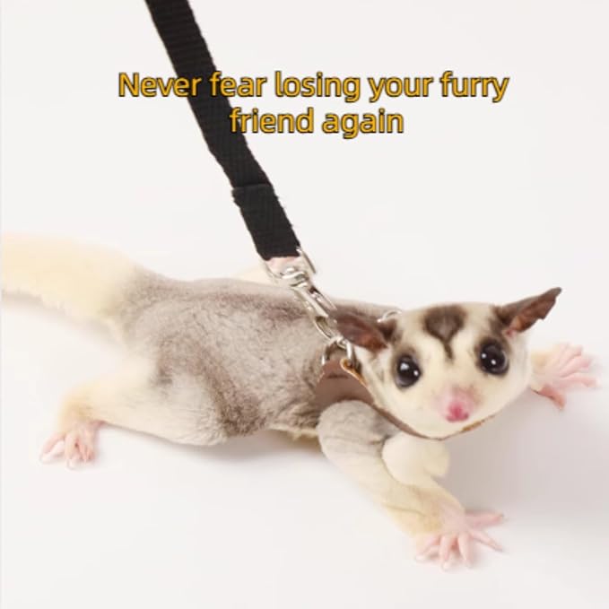 MANON ROSA Sugar Glider Pouch - Small Animal Carrier Bag with Harness Set for Bonding Sling for Reptile Pets Bearded Dragons Lizards Backpack Accessories for Outdoor Travel Walking Resting Green