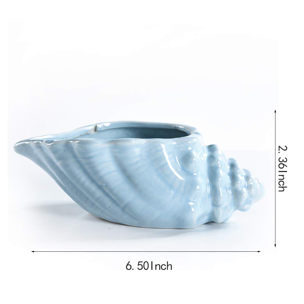 Bonsai Pots 5.5 Inch Blue Conch Ocean Series Ceramic Base Serial Set Succulent Plant Pot Cactus Plant Pot Flower Pot Container Planter With Drainage Hole Gift Idea 4 In Set(Plants Not Included)