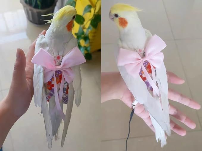 Bird Flight Suits Diapers, Parrot Diapers for Monk Parakeets, Cockatiels, Parrot Clothes Costume, Bird Training Nappy Suit Liners Clothes (Large,Pink)