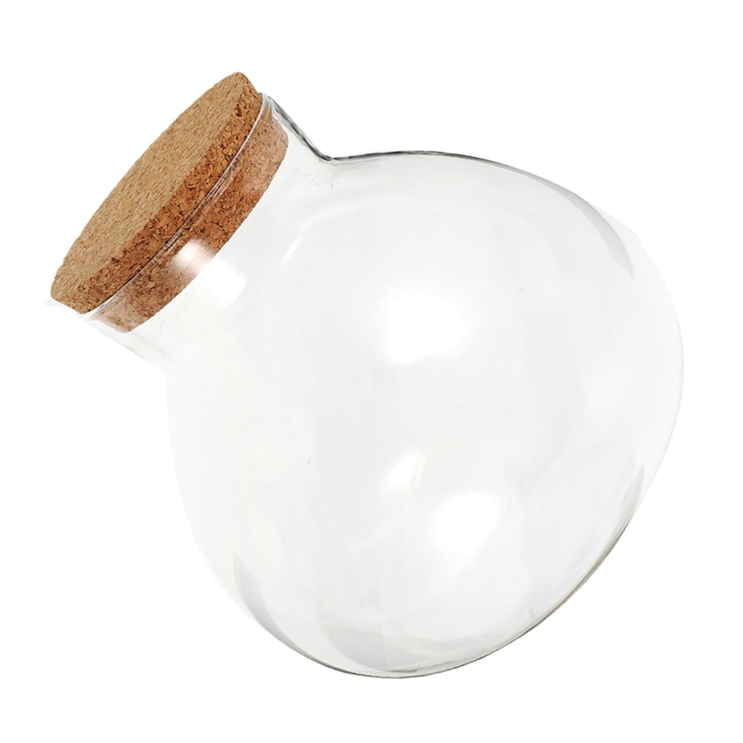 VICASKY Micro Landscape Terrarium Holder Decorative Cork Glass Bottle for Plants DIY Landscaping Round Sealed Container for Home Decor Party Accent