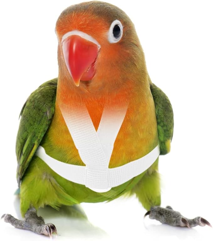 VANFAVORI Adjustable Bird Harness with 80 Inch Leash, XS Size for Peony Parrot Love Bird Weight 40-55 Grams with Outdoor Flying Training Rope, White
