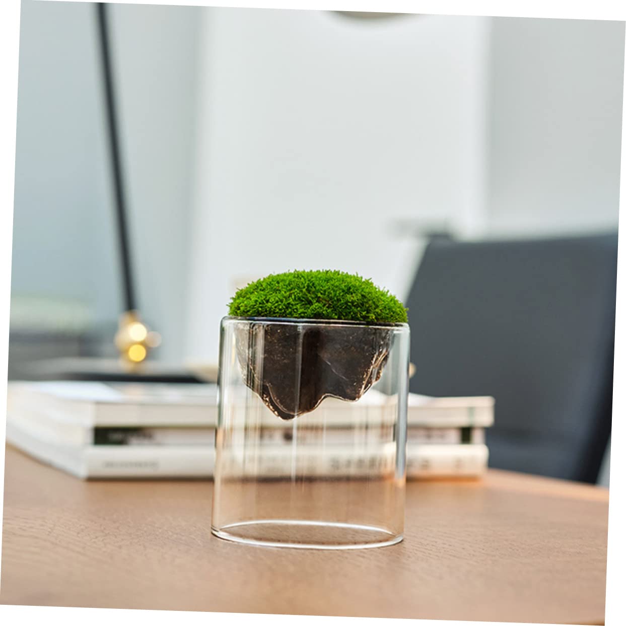 BESPORTBLE DIY Micro Landscape Glass Bottles 2 Pack Moss Plant Terrariums Elegant Decor for Home