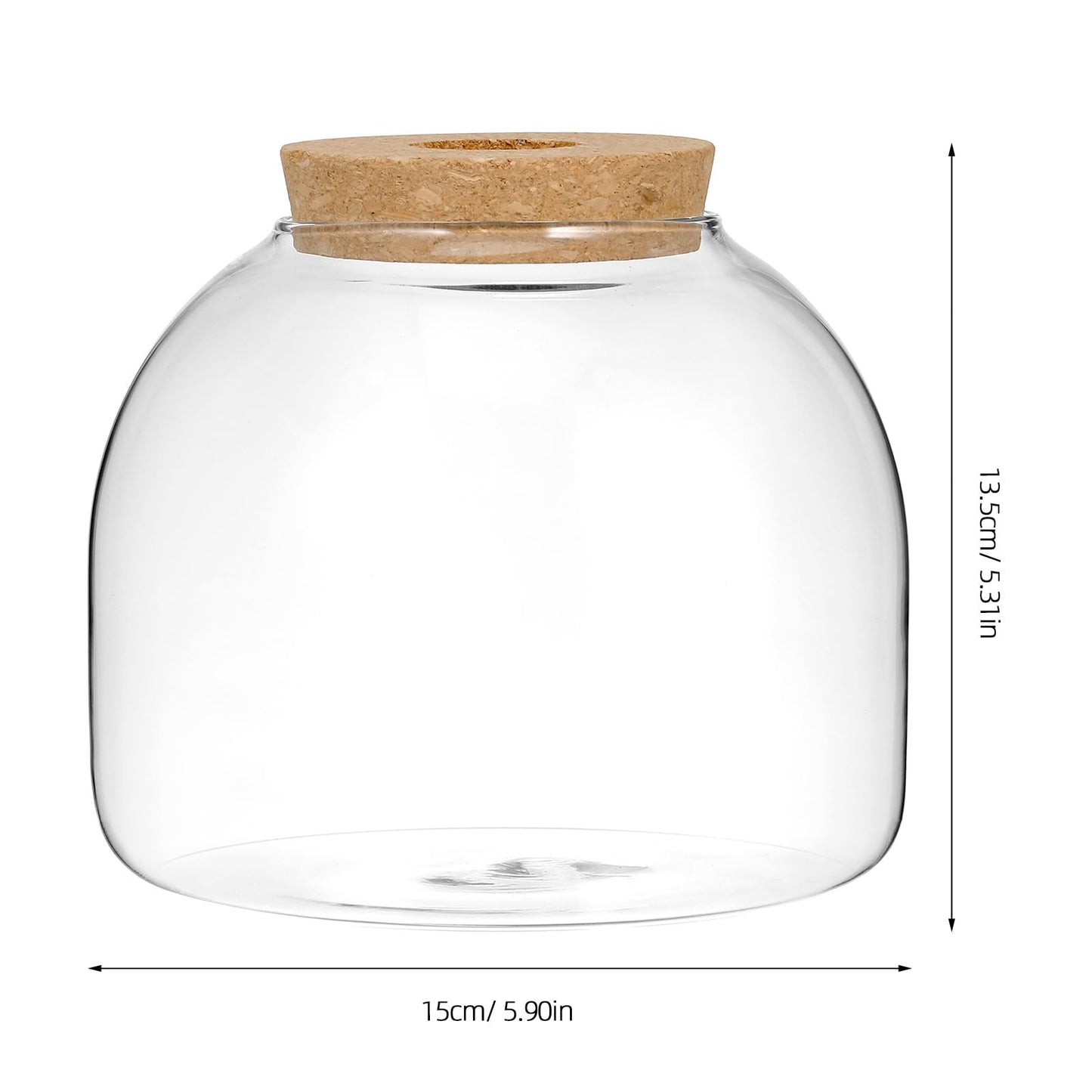 NUOBESTY Glass Terrarium Jar with Cork Lid, Hydroponic Plant Propagation Vase, Clear Round Betta Fish Bowl Tank for Moss Succulent Indoor Desktop Home Decor