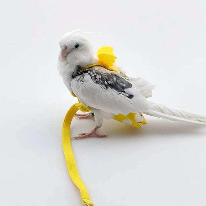 Adjustable Bird Diaper Harness Flight Suit Clothes with 80 Inch Flying Leash Rope for Parrots Conure Cockatiel (Green,S)