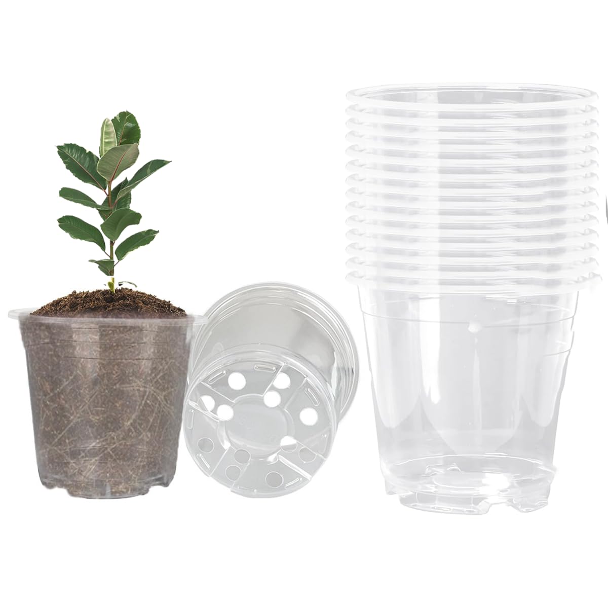 Farsheo Clear Nursery Pots 20Pack 6inch Plastic Plant Flower Seed Pots Starter Pot for Seedling Nursery Supplies Grow Planter Flower Pot Container for Seedling Cultivation (Clear 6inch 20PCS)