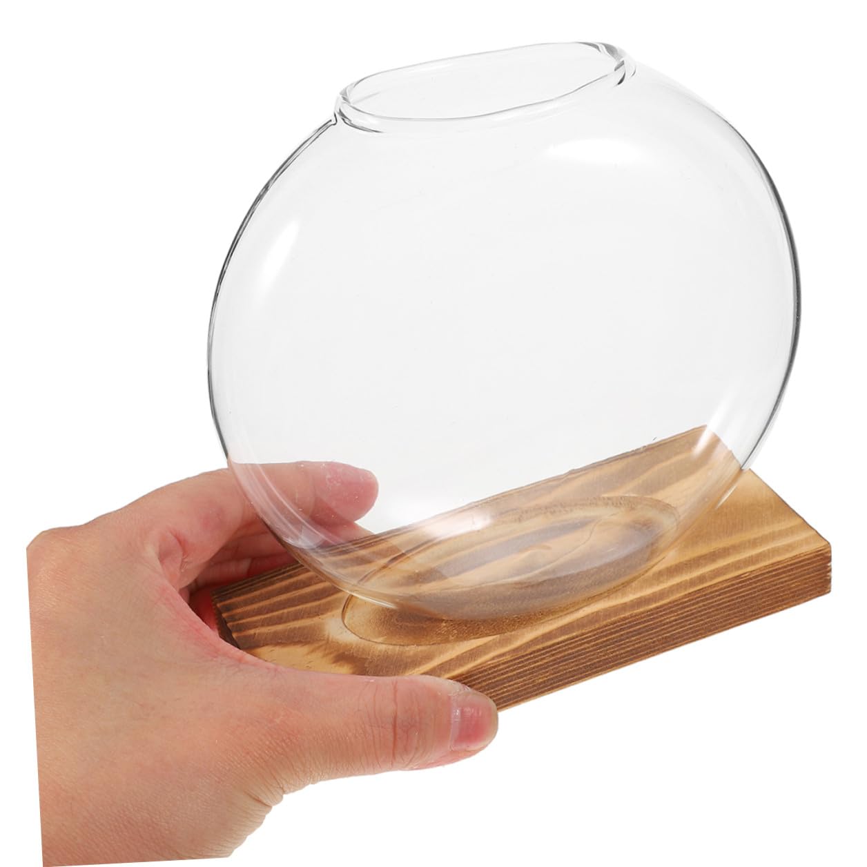 DOITOOL 2pcs Hydroponic Plant Glass Vases with Wooden Base, Small Propagation Jars for Indoor Greenery, Retro Style Desk Flower Pots for Home Office Décor