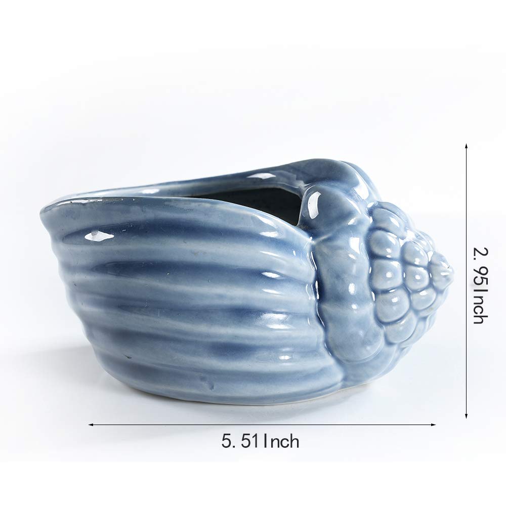 Bonsai Pots 5.5 Inch Blue Conch Ocean Series Ceramic Base Serial Set Succulent Plant Pot Cactus Plant Pot Flower Pot Container Planter With Drainage Hole Gift Idea 4 In Set(Plants Not Included)
