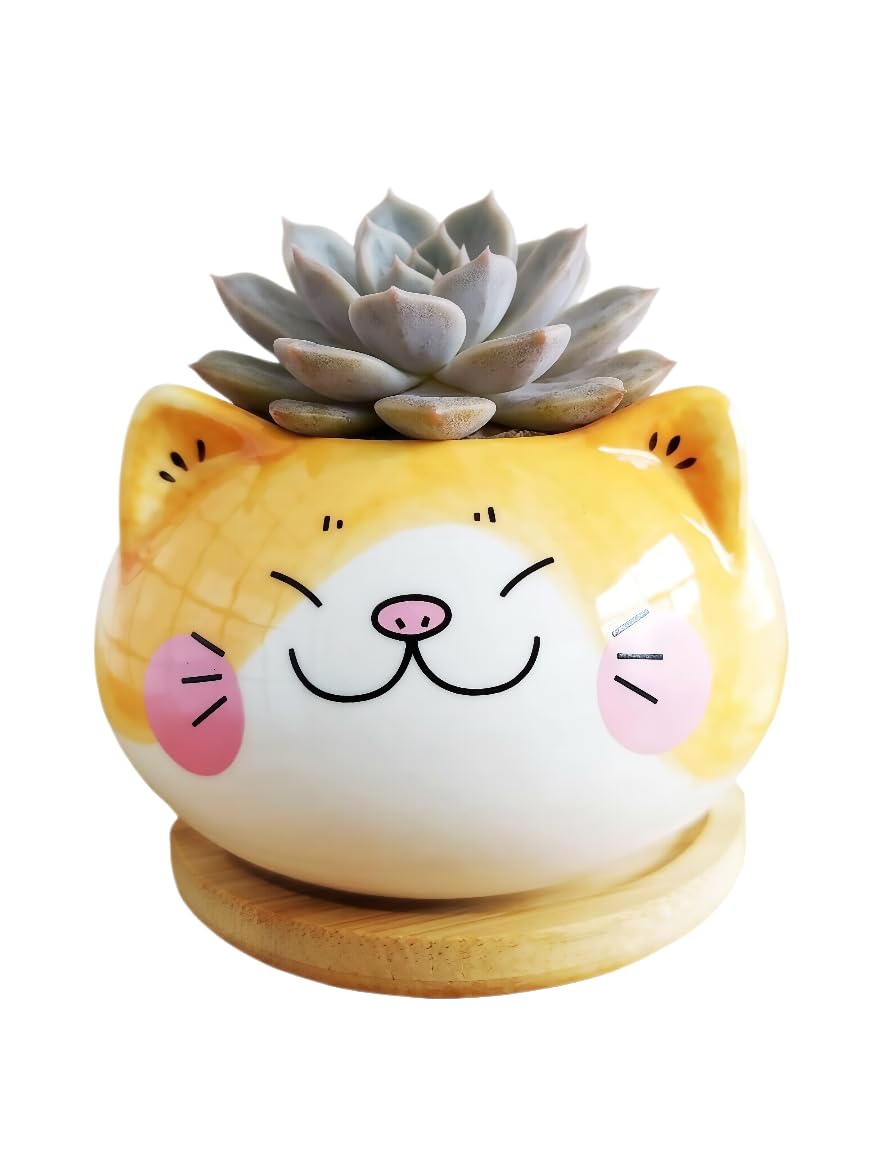 Cuteforyou Cute 3.5 Inches Indoor Cartoon Animal Cat Shaped Ceramic Succulent Cactus Flower Plant Pots with Bamboo Tray-Plant Not Included (Yellow)