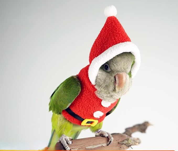 Bird Clothes Birds Flight Suit, Christmas Hoodie for Parrots Cockatiel Sun Conure Christmas Party Cosplay Photo Prop Bird Shirt Small Animals Apparel (Without Diaper,Amazon)
