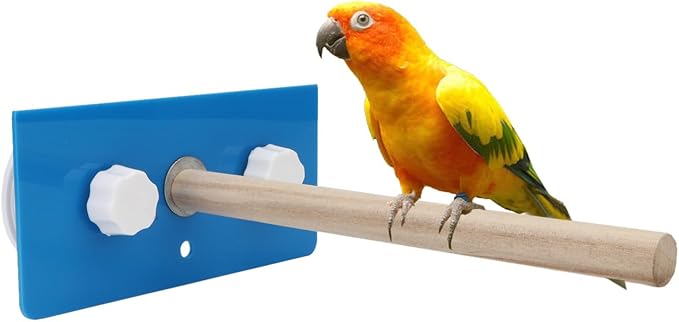 Hypeety Bird Parrot Stand Perch Shower Perch Standing Toy Portable Suction Cup Parrot Bath Stands Suppllies Holder Platform Parakeet Window Wall Hanging Play (2 Suction Cups Wood)