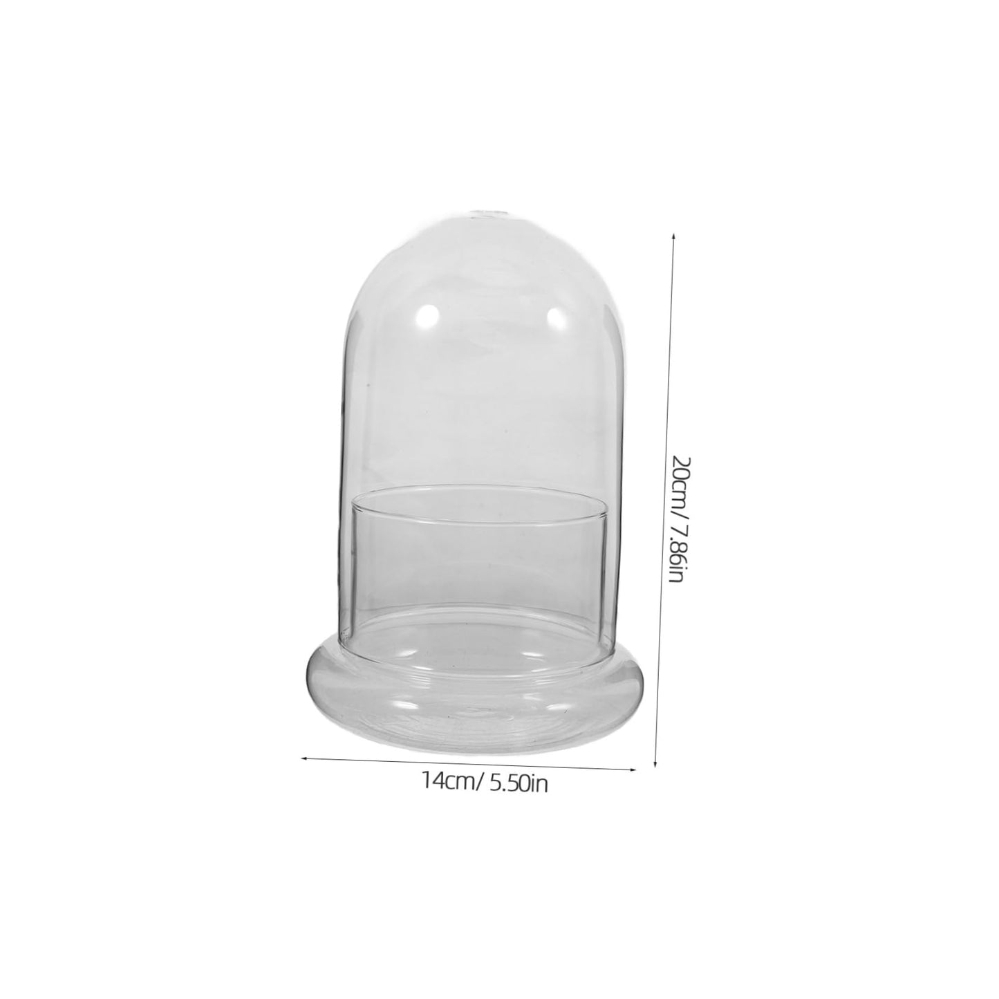 HEMOTON Eco Bottle Moss Glass Terrarium Air Plant Holder Hydroponic Vase Micro-Landscape DIY Decor