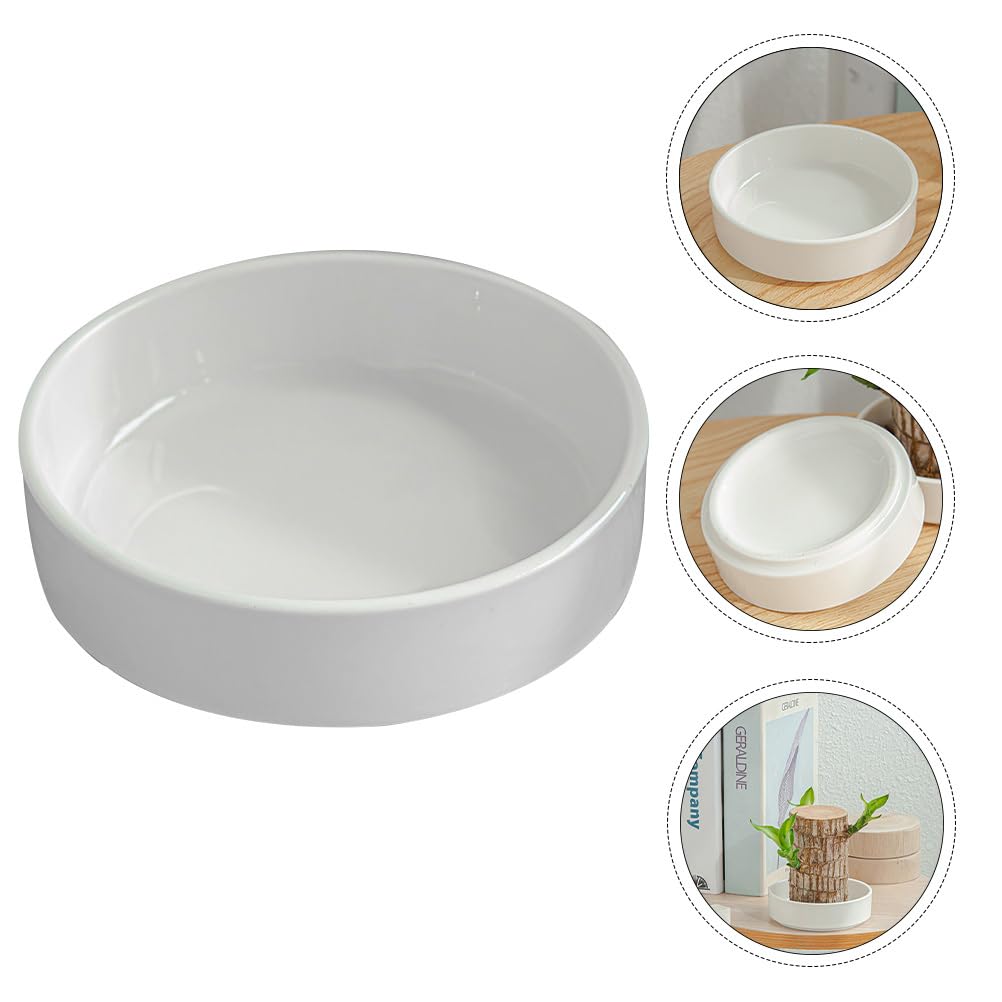 balacoo 2pcs Brazilian Wood Plant Pot: Ceramic Brazilian Wood Pallet Desk Flower Pots Plant Base ers Tabletop Tray Dish for Lucky