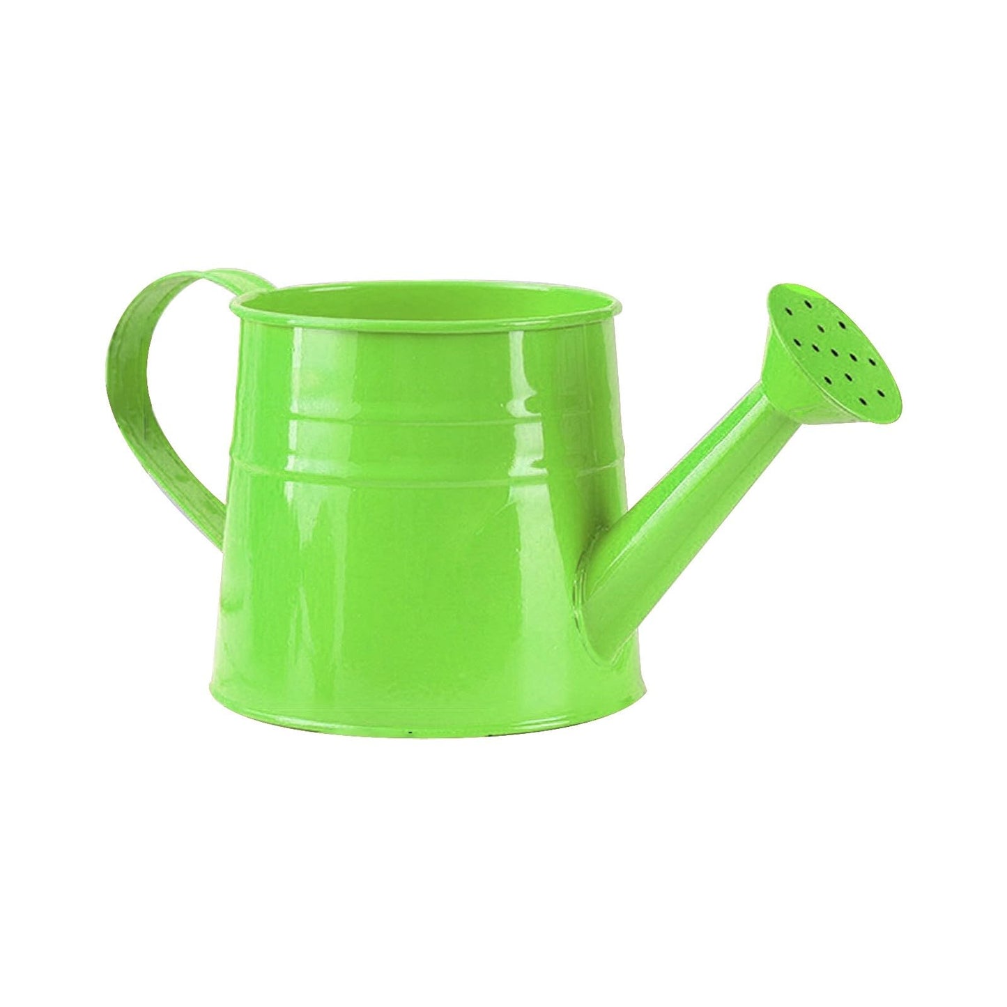 Galvanized Watering Can 1L,Tinplate Watering Kettle with Removable Spout,Garden Decorations,Gardening Tools for Outdoor Indoor Plants Lawn Garden (Green)