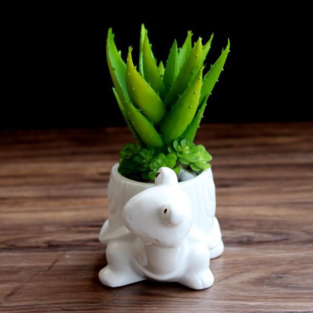 Ceramics Succulent Pot Animals Planter/Plant/Flower/Bonsai Pot Ornament for Herb, Succulent,Cactus Container for Home Balcony Desk Decoration (Turtle)