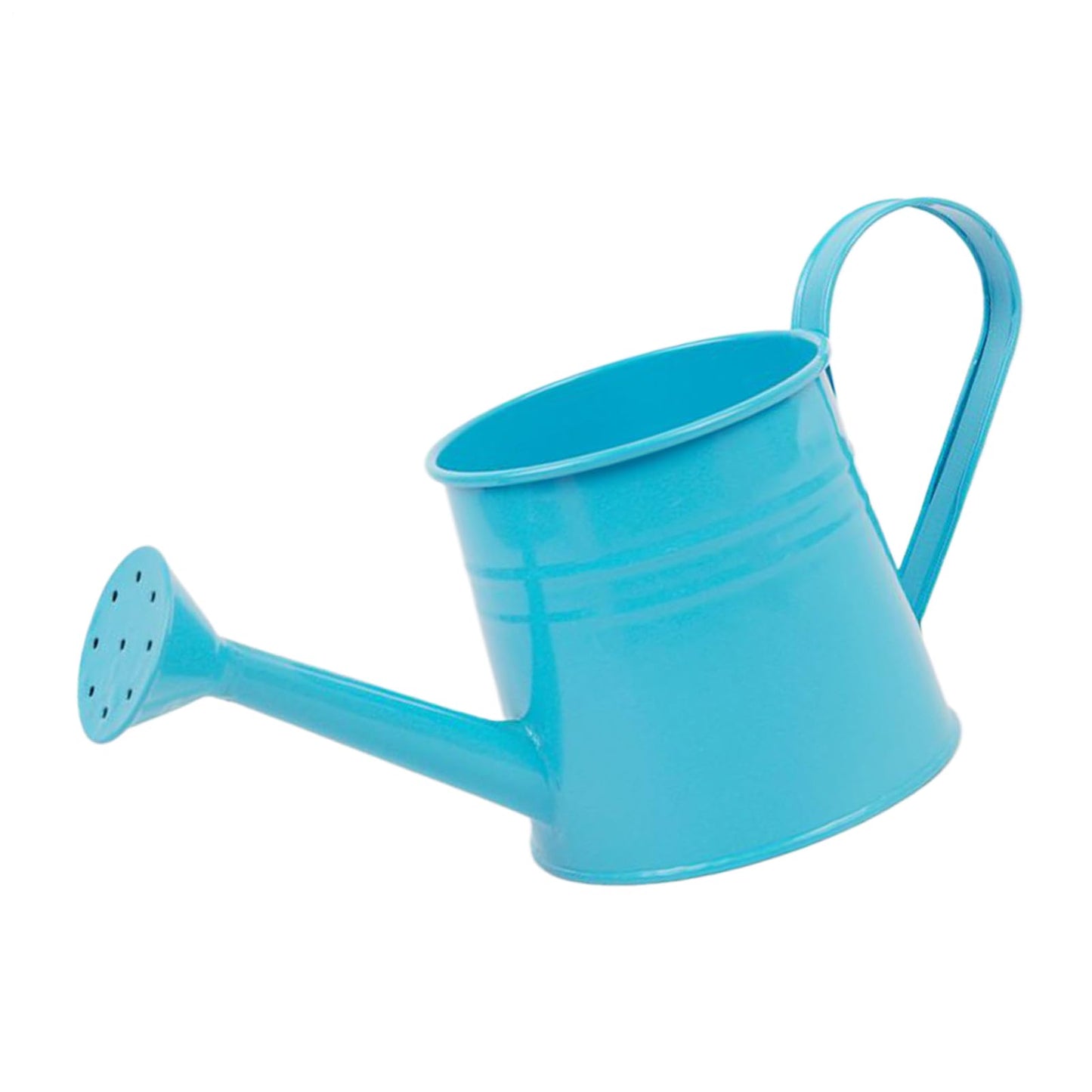 Garden Watering Can - 1L Metal Plant Pot, Long Spout Water Jug, Decorative Flower Container | Watering Bucket for Indoor Plants Outdoor Garden Balcony Patio Greenhouse Lawn Flower Tasks