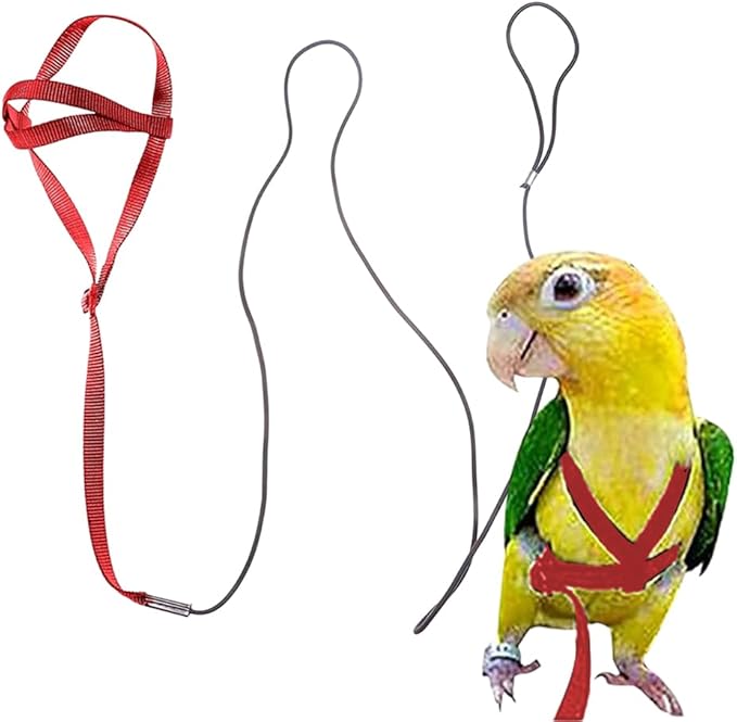 Adjustable Bird Harness and Leash,Anti-Escape Durable Nylon Parrot Harness, Flying Training Rope Parrot Leash for Small Medium Large Breed Parrots Fits Chest Under 20'', Red M