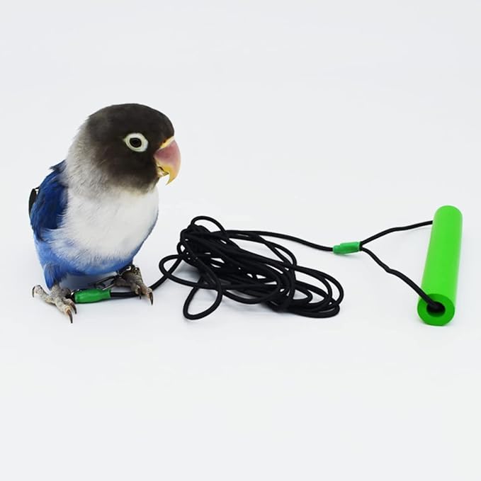 Bird Foot Chain with Flying Latex Elastic Training Rope Outdoor Parrot Ankle Foot Ring Accessories Bird Harness Leash Prevent Escaping (Model6-With 78.7inch Leash)