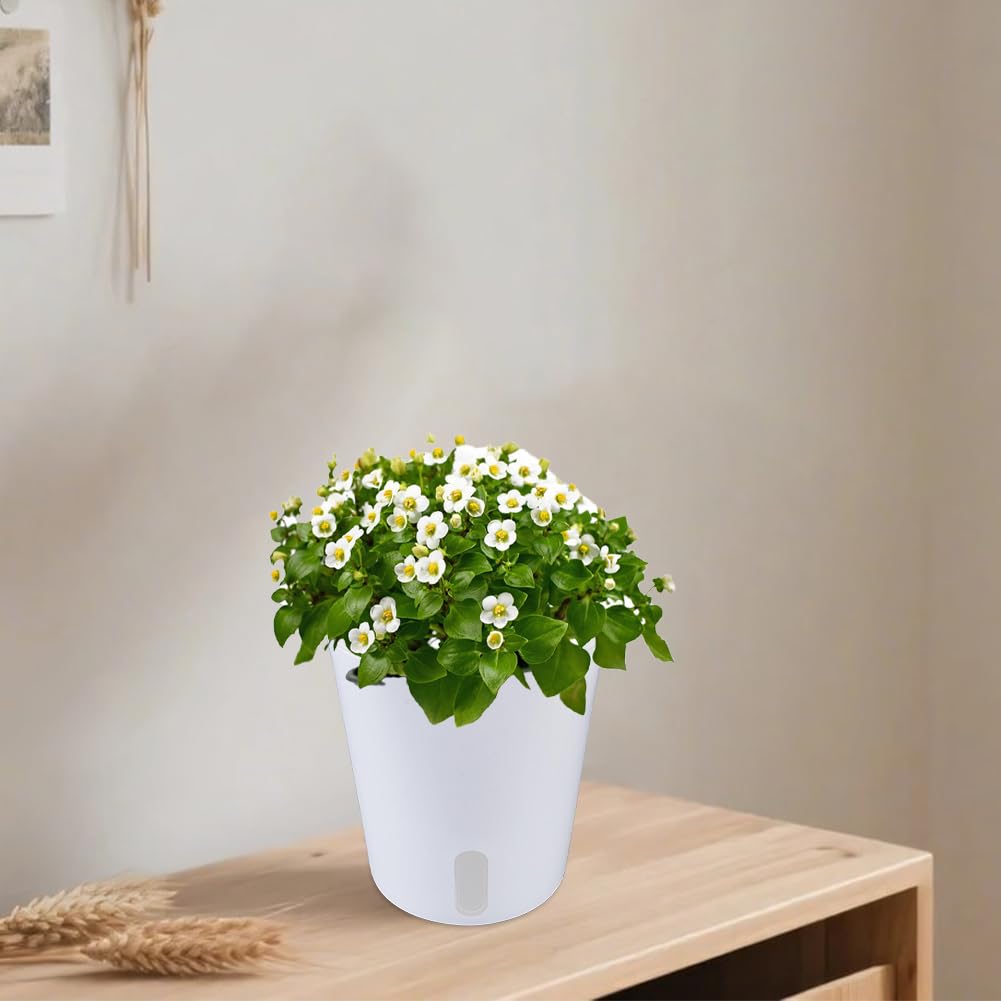 Doodlream 6 Kits Self Watering Pots for Indoor Plants, 4.93inch White Plastic Self Watering Planters for Herbs Succulents, Garden Decorative Flower Pots with Water Visual Window, Water-Absorbing Rope
