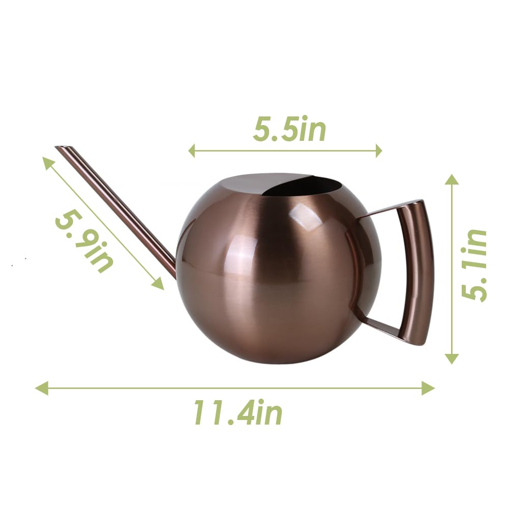 Chemlliy Watering Can with Long Spout and Comfortable Handle, 35 oz/1000ml Small Watering Can for Indoor Plants, Stainless Steel Garden Watering Pot for Indoor House Plants Bonsai Flower Decorative