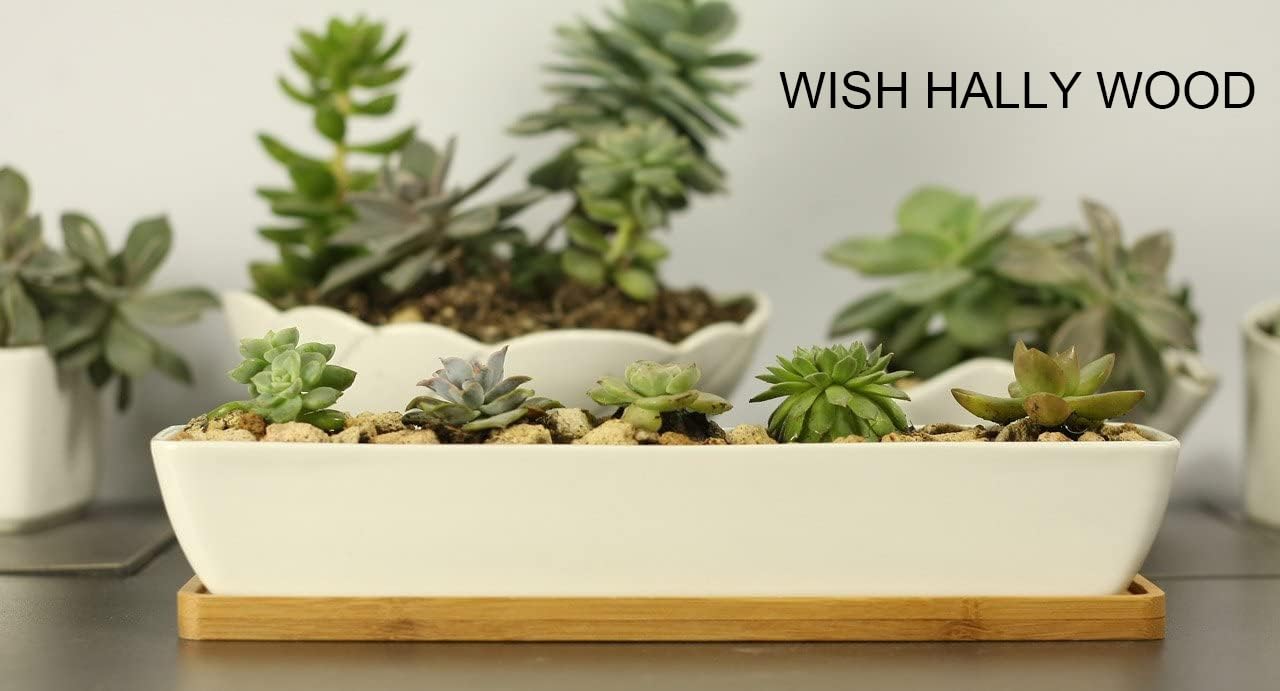 WISH HALLY WOOD White Ceramic Succulent Planter Pots,2 Set of 11inch Long Rectangle Flower Plant Containers with Bamboo Saucers.