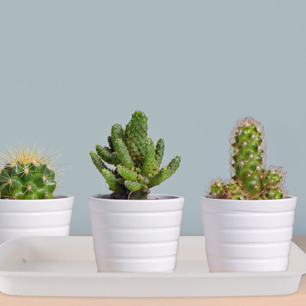 6PCS Rectangular Plastic Plant Saucers Tray Drip Tray Pot Saucer for Flower Pot Drip for Window Sill Window Shelf 9.73"x4.33"x0.86"