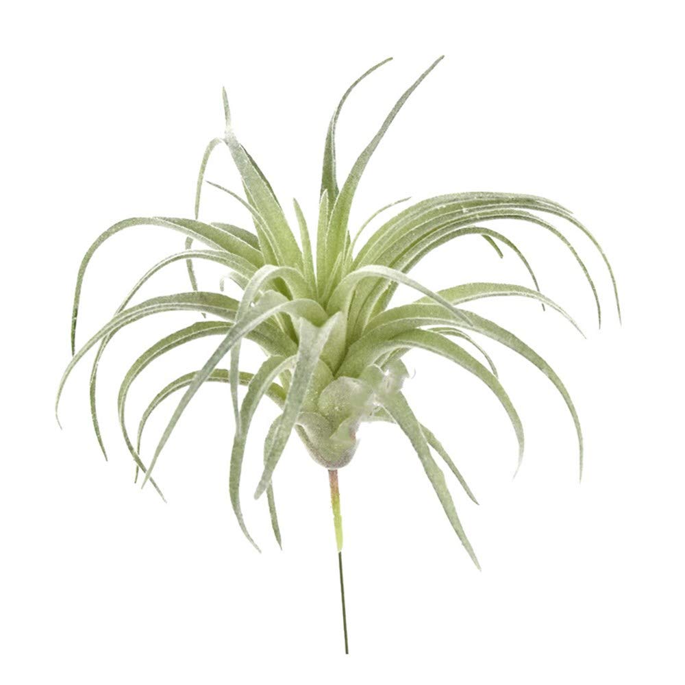 EBUYOM 2 PCS Artificial Succulents Plants Unpotted Fake Flocking Tillandsia Air Plants Succulent Bromeliads Bouquet Arrangements Faux Plants DIY for Garden Terrarium Decor Home Decoration Green