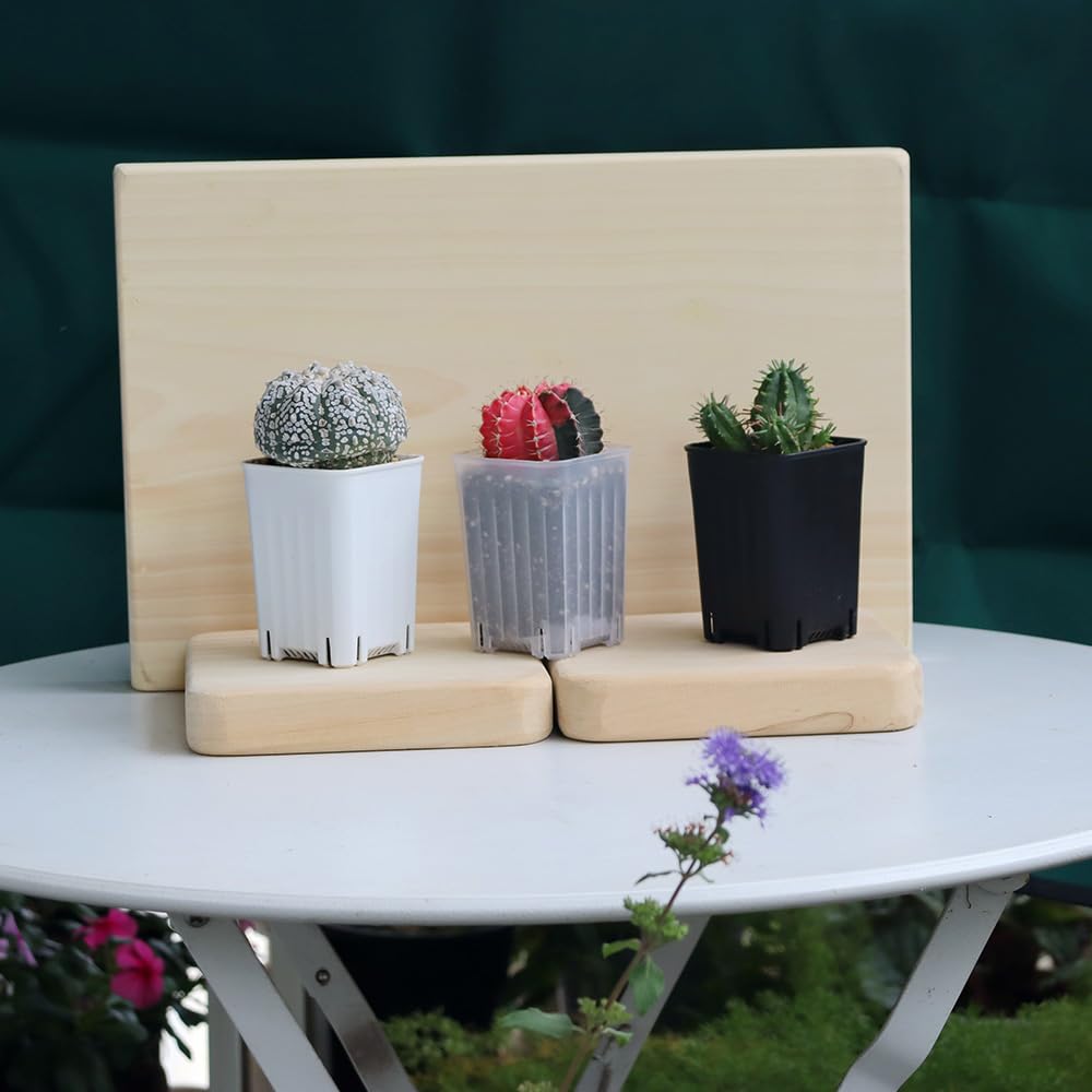 BangQiao 120 Pack 2.40 Inch Small Black Plastic Square Nursery and Seedling Pot, Deep Transplant Seed Starter Planter with Drain Hole for Germination, Herb, Succulent