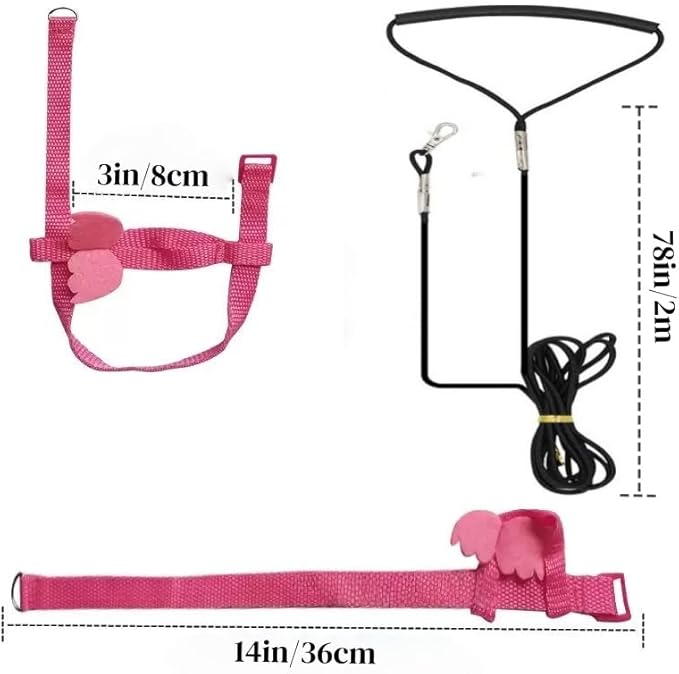 3 Sets Pet Parrot Bird Harness and Leash with Cute Wing, Adjustable Bird Flying Harness Straps Outdoor Training Traction Rope for Parrots Pigeons Lovebird Cockatiel(L,Pink, Yellow&Purple)
