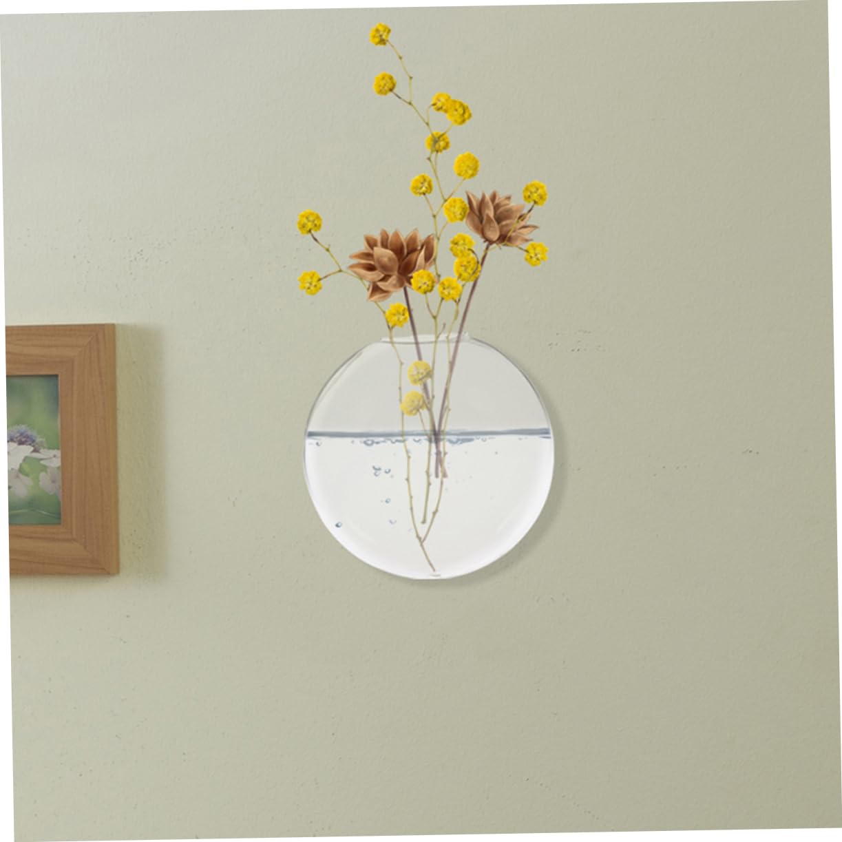 Mobestech 2pcs Glass Flower Vase Wall Mount Hydroponic Wall Plant Terrarium Decorative Hanging for Indoor Plants