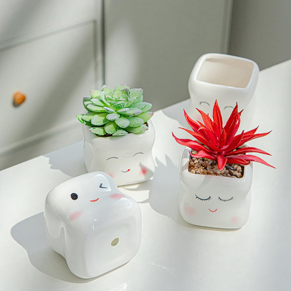 RUIXIAOXI Cute Smiling Cartoon Face Succulent Planter, Small White Ceramic Flower Pot Tooth-Shaped Plant Pot for Small Plants, Home & Office Desk Decoration - No Plants Included (Style B)