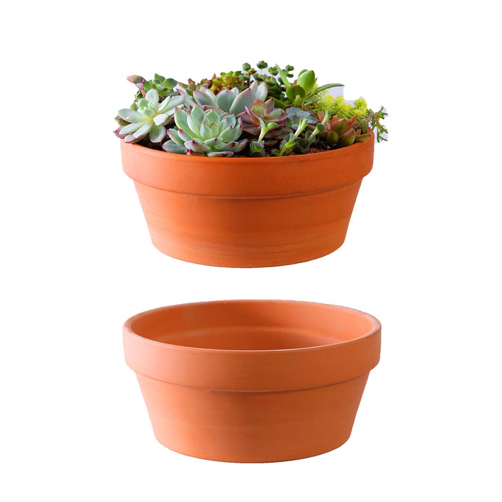 Yishang Large Terracotta Pots for Succulent - 10 Inch Cactus Plant Containers Indoor Garden Bonsai Pots with Drainage Hole - Set of 2, Unglazed Clay Ceramic Pottery Planter