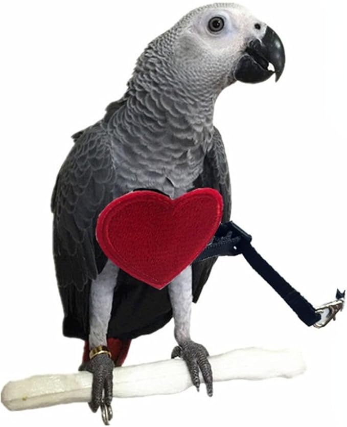 Adjustable Birds Harness and Leash Parrot Harness Leash Training Supplies Pet Anti-bite Outdoor Flying Rope for Conures Budgerigar Lovebird Cockatiel Mynah (S)