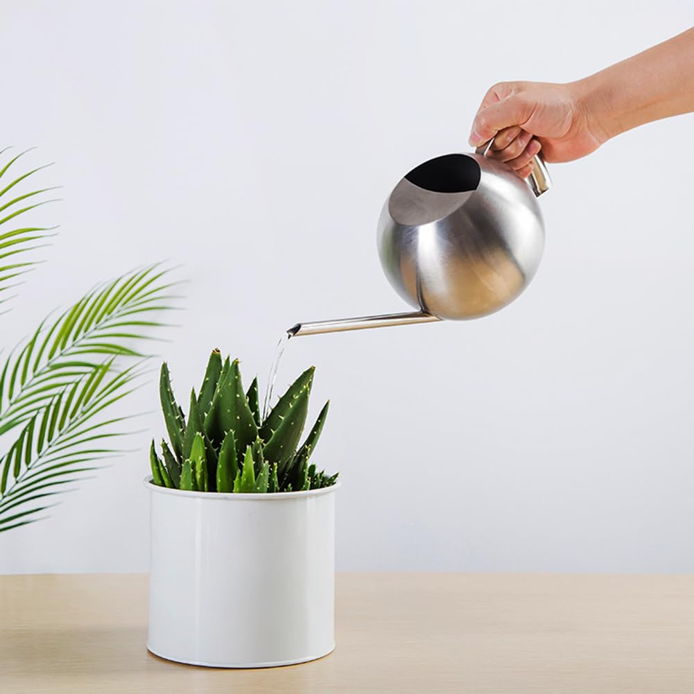 Chemlliy Watering Can with Long Spout and Comfortable Handle, 35 oz/1000ml Small Watering Can for Indoor Plants, Stainless Steel Garden Watering Pot for Indoor House Plants Bonsai Flower Decorative