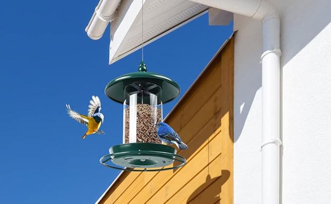 Metal Roof Bird Feeder for Outdoors - 360° Feeding Perch. Green