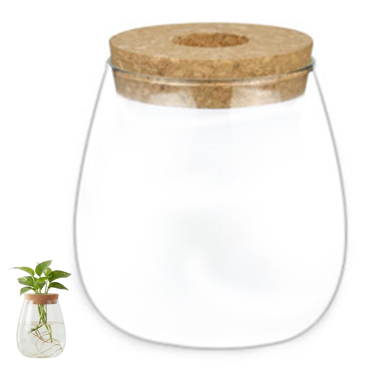 Propagation Vases for Plants, Clear Glass Terrarium Jar with Wooden Stopper for Hydroponics, Creative Home Decor and Tabletop Plant Propagation Station, Terrarium Jar