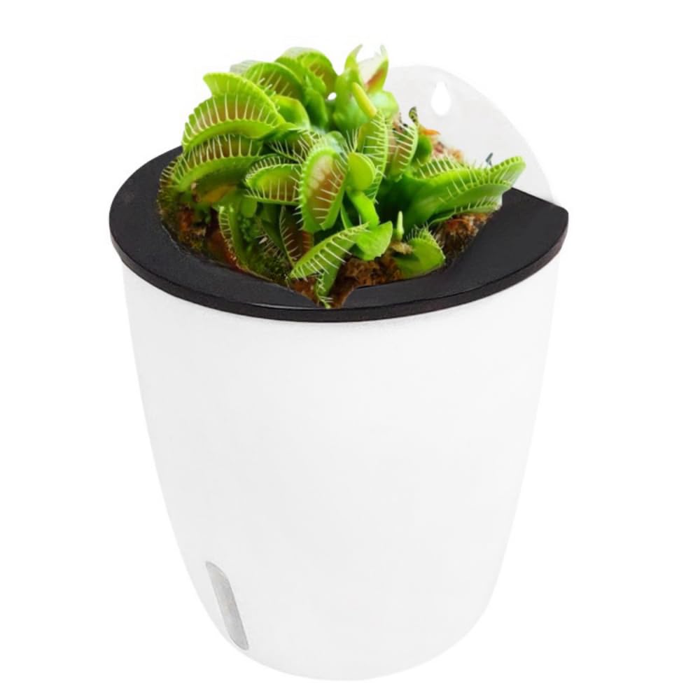 DODXIAOBEUL 2 Pack 7 Inch Visible Water Level Self Watering Planter,Hanging Planters,Wall Mounted Plants Holder,Small Flower pots Indoor Out Flowerpot with 3 Hooks Plastic Pots for Plants (White 7")
