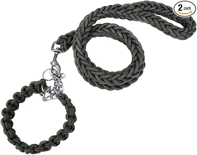 Love Dream Dog Collar and Leash Set, Heavy Duty Nylon Braided Rope Strong 4 FT Dog Leash and Martingale Training Collar for Small Medium Large Dogs Training and Walking (Green)