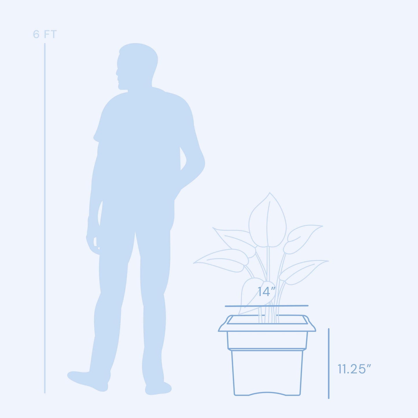 Bloem Veranda Deck Box Planter Square: 14" - Black