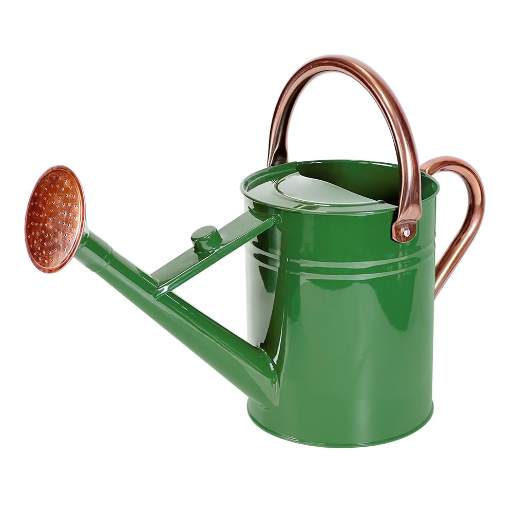 Megawodar 1 Gallon Metal Watering Can with Removable Spout, Nice Galvanized Steel Water Can for Indoor and Outdoor Plants (House Plants)