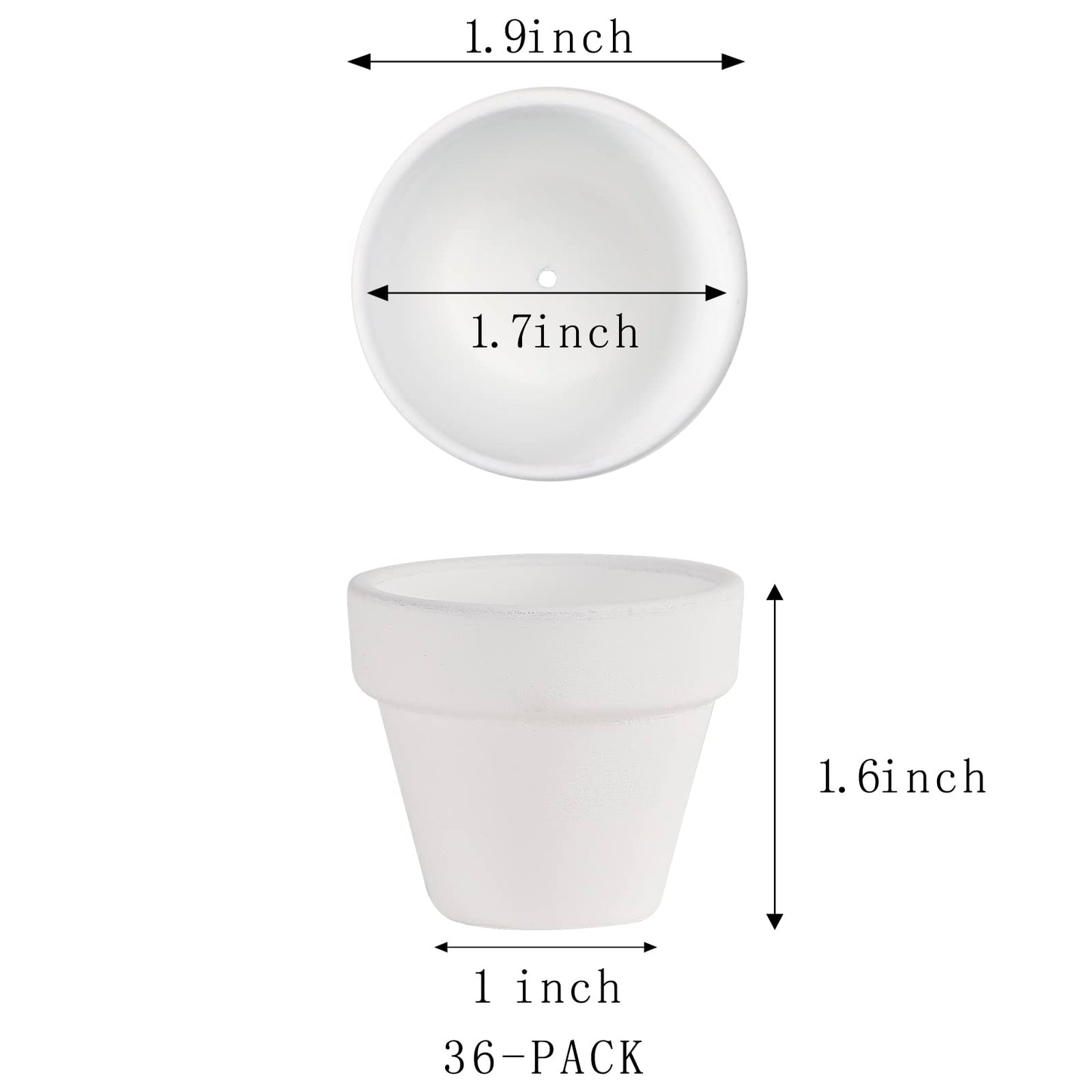 36 Mini White Flower Pots - 2 inch Clay, Cactus & Succulent Nursery Pots with Drainage Holes, Indoor/Outdoor Suitable