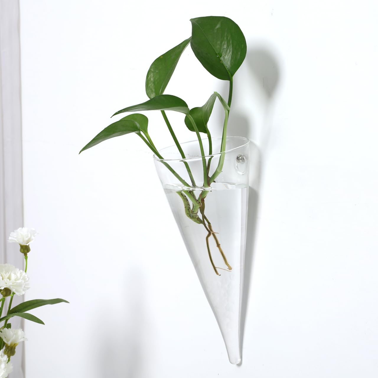 Cabilock Wall Planter Propagation Stations, Clear Glass Wall Hanging Plant Terrarium, Circular Cone Propagation Vase for Hydroponic Plants Flowers, Bathroom Home Office Living Room Decor