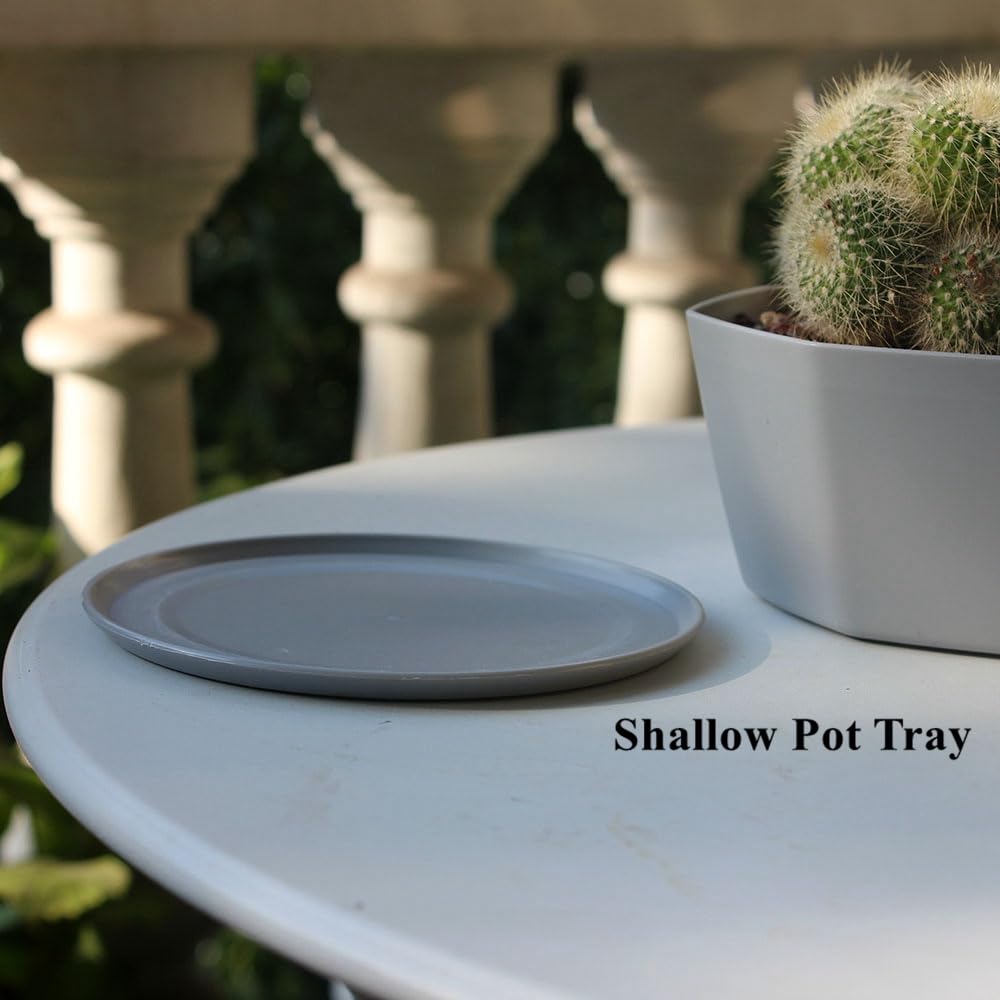 BangQiao 8 Pack 8.00 inch and 5.90 inch Gray Plastic Shallow Plant Pot, Octagon Bowl Planter Container with Pot Tray for Succulents, Cactus