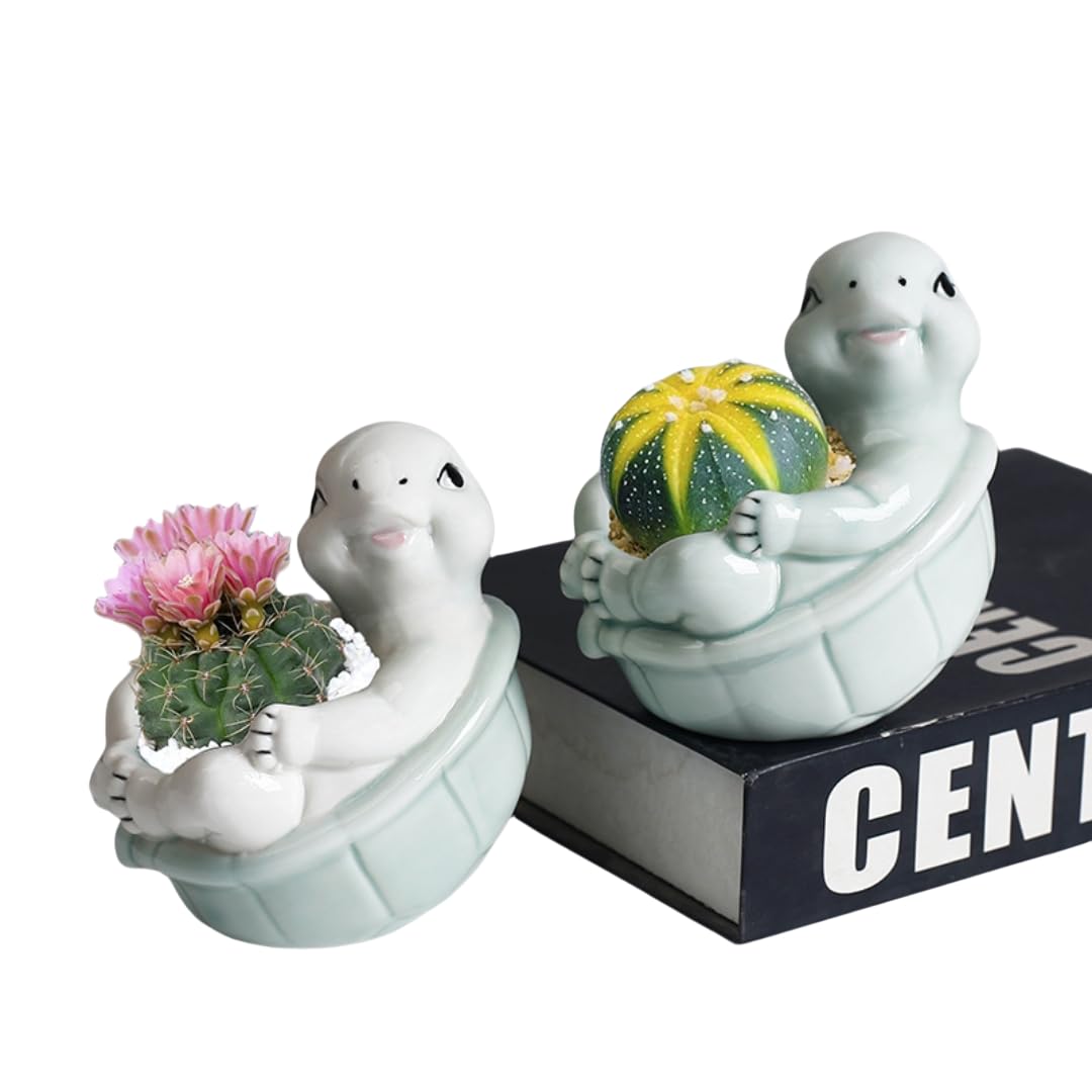 ourhommie Turtle Succulent Planter Pots Ceramic Air Plants Holder Cute Flower Cactus Display Container Miniature Plants Pot Small Pottery Bonsai Pot Home Garden Decor for Plants Lover, No Plant