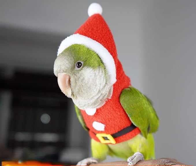 Bird Clothes Birds Flight Suit, Christmas Hoodie for Parrots Cockatiel Sun Conure Christmas Party Cosplay Photo Prop Bird Shirt Small Animals Apparel (with Diaper,Pigeon)