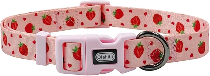 Dog Collar Leash Set, Fruit Pattern, Polyester Material, Adjustable Collar and 5ft Matching Leash, for Small Dogs.(S, Strawberry)