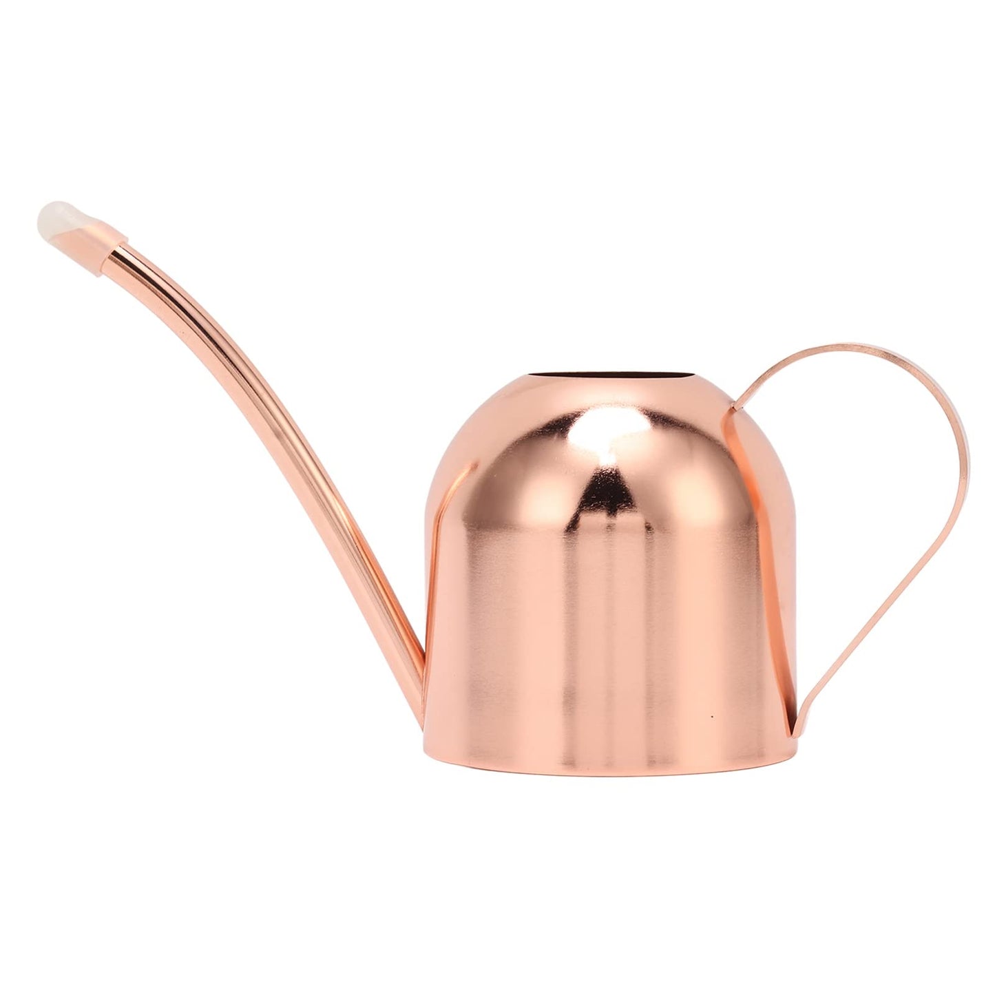 Phefop Watering Can, Stainless Steel, Large Capacity for Indoor Outdoor Plants, 1 Gallon Mini Can for Bonsai and Houseplants