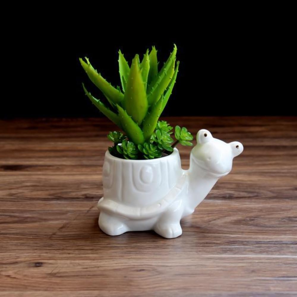 Ceramics Succulent Pot Animals Planter/Plant/Flower/Bonsai Pot Ornament for Herb, Succulent,Cactus Container for Home Balcony Desk Decoration (Turtle)