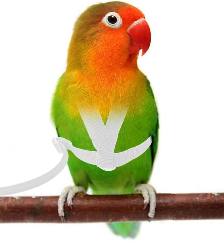 Pet Parrot Bird Harness Leash Adjustable Bird Flying Harness Traction Rope with Cute Wing for Parrots Pigeons Budgerigar Lovebird Cockatiel Mynah Outdoor Training Toy (White,XS)