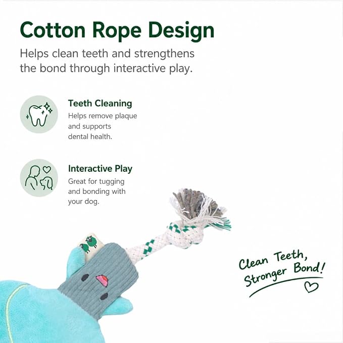 Green Sheep Interactive Plush Dog Toy, No Stuffing Squeaky Toy with Recycled Cotton Rope for Medium to Large Dogs, Asparagus