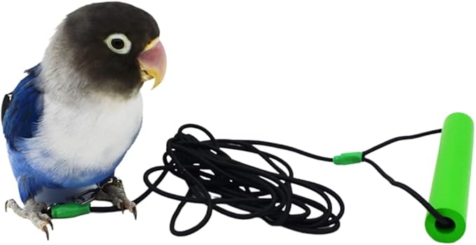 Bird Foot Chain with Flying Latex Elastic Training Rope Outdoor Parrot Ankle Foot Ring Accessories Bird Harness Leash Prevent Escaping (Model4-With 157.5inch Leash)
